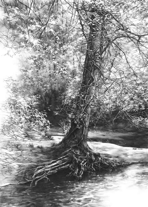 Fairytale Tree Drawing in 2022 | Tree drawings pencil, Landscape drawings, Realistic pencil drawings