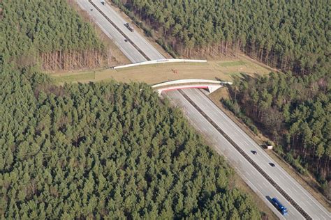 This is absolutely terrifying: “There are really only two big patches of intact forest left on ...