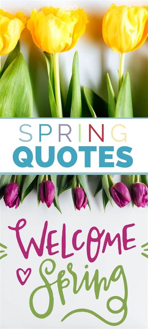 21 of the most inspiring quotes for spring | Spring quotes, Inspirational quotes, Quotes