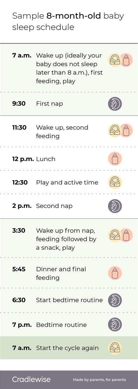 Sample 8-Month-Old Sleep Schedule (Naps, Feeds, Solids), 49% OFF