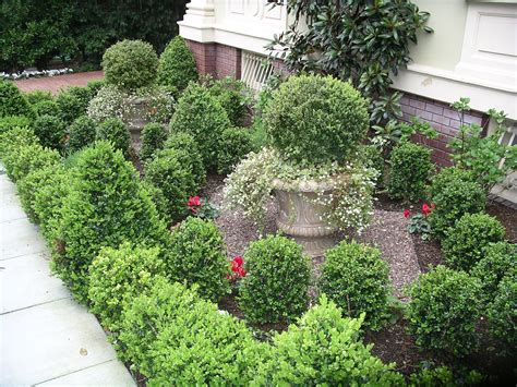 SF - boxwoods in a small space | Boxwood garden, Boxwood landscaping ...