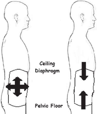 5. The pelvic floor and diaphragm are major components in the core and... | Download Scientific ...