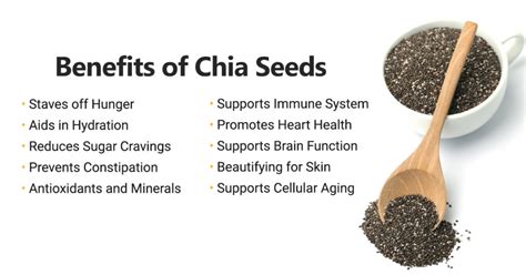 Chia seed benefits - kizaboat