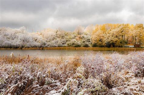 Brace yourselves: Snow signals the end of Upstate NY’s fall foliage ...