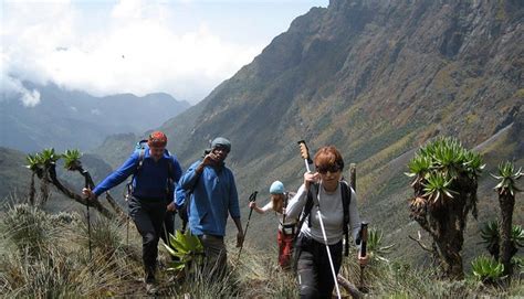 Rwenzori Mountains National Park - Uganda Hiking safaris