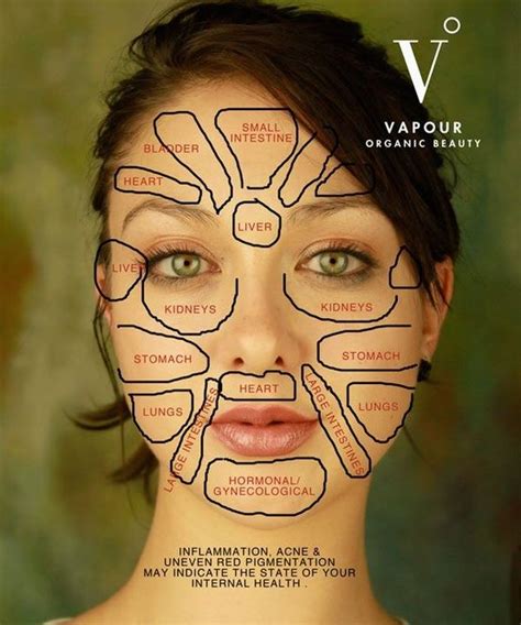 Face Mapping & Traditional Chinese Medicine | Huidproducten ...