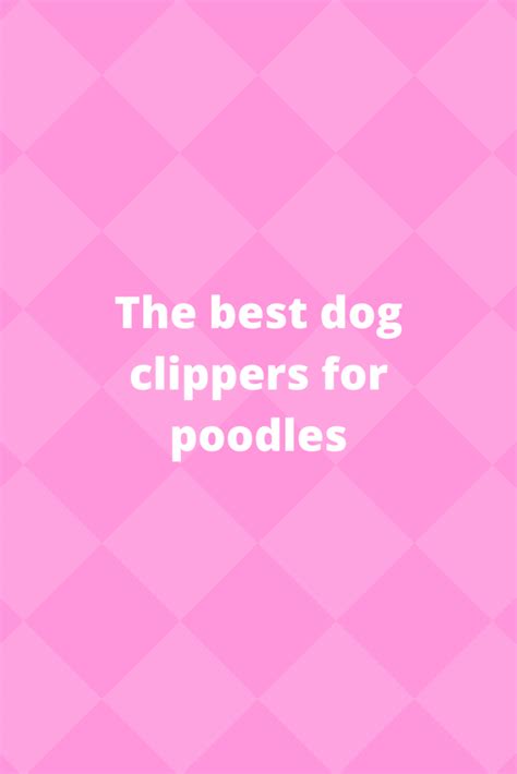 The best Dog Clippers for Poodles - Pets Care Tips