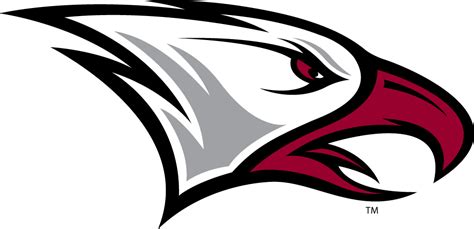 NCCU Eagles Partial Logo - NCAA Division I (n-r) (NCAA n-r) - Chris Creamer's Sports Logos Page ...