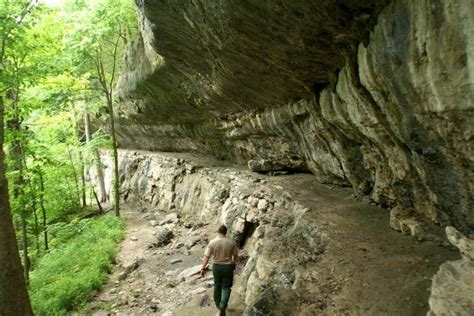 6 Caves in Missouri Made for Scenic Spelunking | Missouri state parks, State parks, Missouri caves