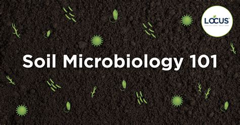 What are Soil Microbes? And Why Do They Matter in Agriculture? | Locus ...