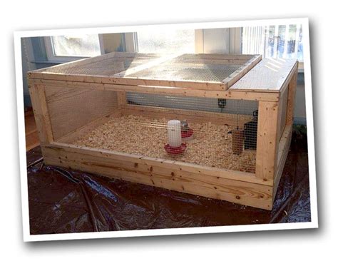 The Garden Run Enclosure Plans | Chicken brooder, Building a chicken coop, Chicken coop