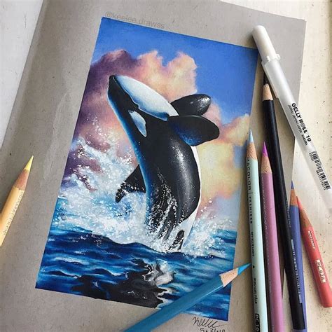 Orca Whale Pencil Drawing