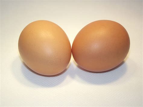 2 Eggs In Shell Free Stock Photo - Public Domain Pictures