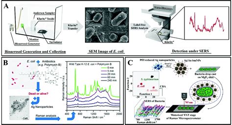 Surface-enhanced Raman spectroscopy for bioanalysis and diagnosis - Nanoscale (RSC Publishing ...