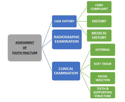 Classification Of Tooth Fracture