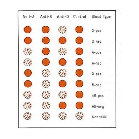 1 x Blood Type Test Kit Eldon Home Blood Group Testing Kit - CE Marked 696538058288 | eBay