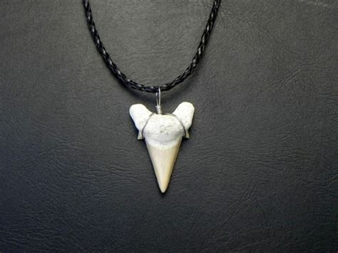 Black Braided OTODUS Shark Tooth Necklace – JTS Sharks Teeth