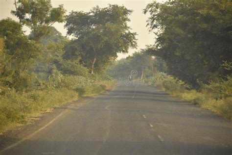 Village road of india stock image. Image of highway - 200847635