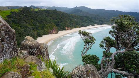 Exploring the Coromandel Peninsula - Beaches and Coves | Realistic ...