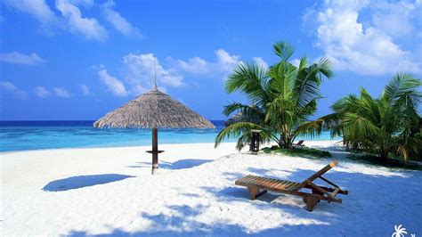 The 6 Best Free Beach Wallpapers of 2024