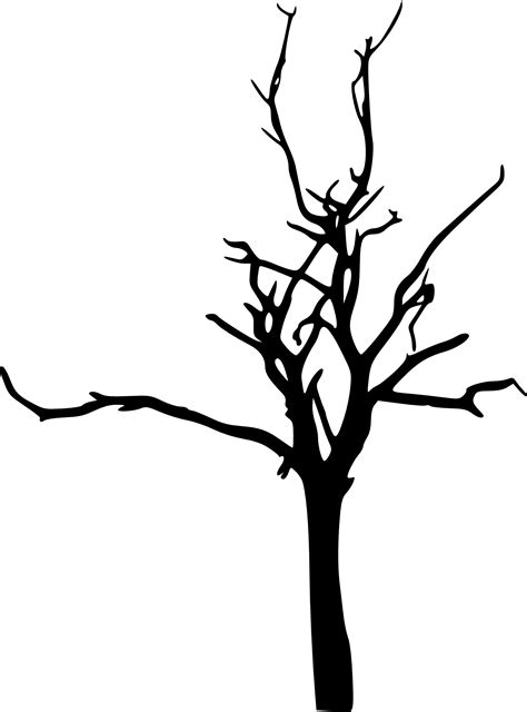 Download Bare Clipart Tree Silhouette Bare Tree Branch Clipart Png | Images and Photos finder
