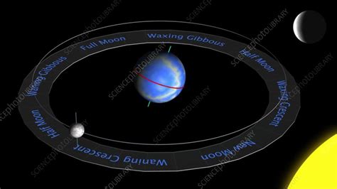 Moon's orbit and phases - Stock Video Clip - K009/7942 - Science Photo ...