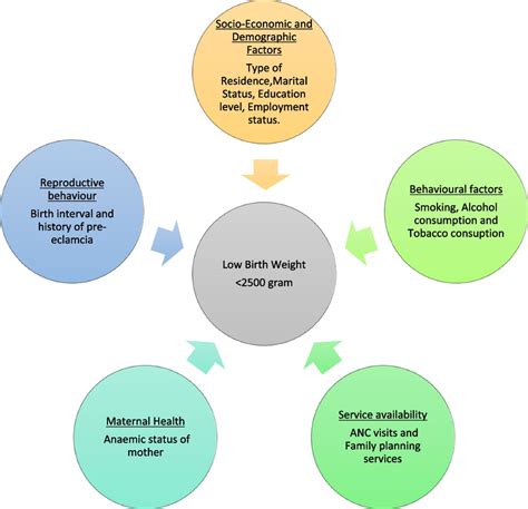 Conceptual framework for low birthweight | Download Scientific Diagram