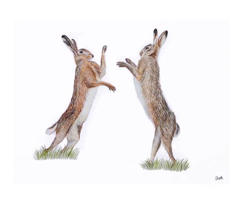 Boxing Hares – Original Acrylic Painting – Wool Hill