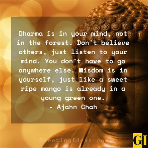 50 Best Dharma Quotes Sayings for Wisdom and Understanding