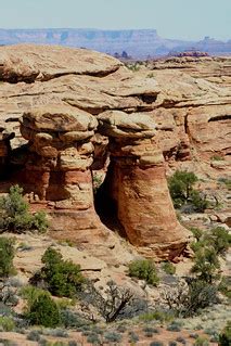 White Rim Sandstone | Slickrock Trail, Needles District of C… | Flickr