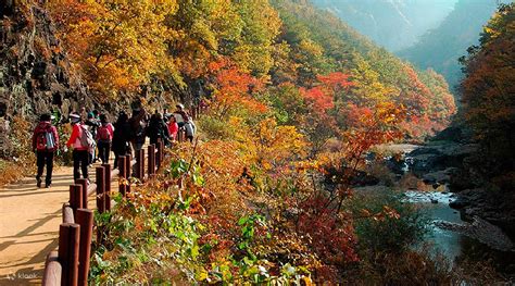 Seoraksan National Park Autumn Season Day Tour from Seoul, South Korea ...