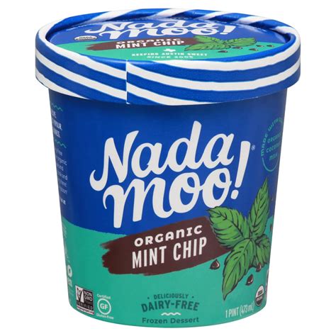 NadaMoo! Organic Mint Chocolate Chip Dairy-Free Frozen Dessert - Shop Ice Cream at H-E-B