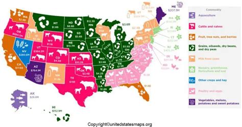 US Agriculture Map | United States Agriculture Map [USA]