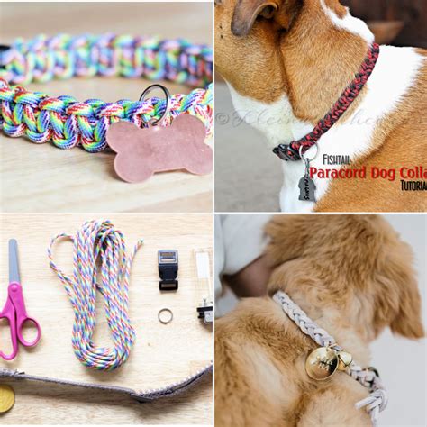 How to Make a Dog Collar (15 DIY Dog Collar Ideas)