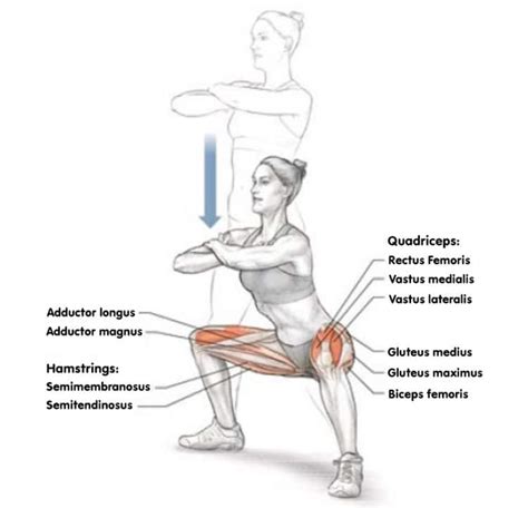 Wide Stance Squats Guide: Muscles Worked, How-To, Tips, and Variations – Fitness Volt