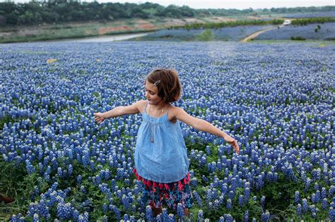 As bluebonnet season arrives, Texas photographers share how to get the ...