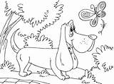 Hound Dog Coloring Sheet Pages sketch template