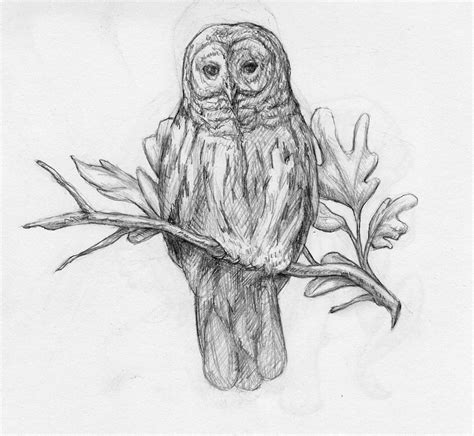 Art Deco Owl Drawings Coloring Pages - Coloring Pages Ideas