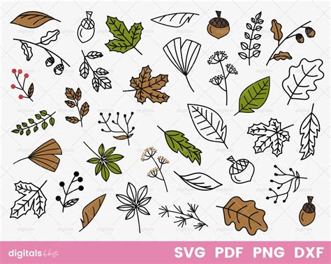 Autumn Leaves SVG Bundle, Autumn Svg, Autumn Leaves Svg, Fall Leaves Svg, Fall Leaves Clipart ...