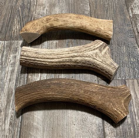 3 Pack Massive Jumbo Elk Antlers, Premium Elk Antlers From Montana - Etsy