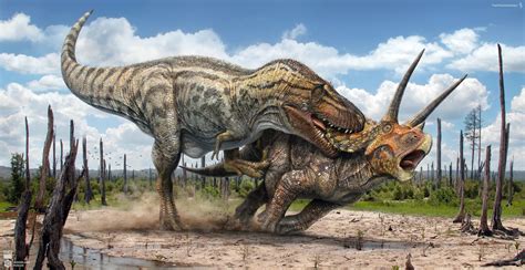 T.rex vs Triceratops | Dinosaur art, Dinosaur illustration, Prehistoric