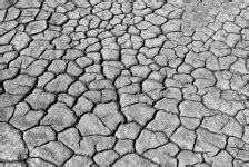 Cracked Earth Texture Free Stock Photo - Public Domain Pictures