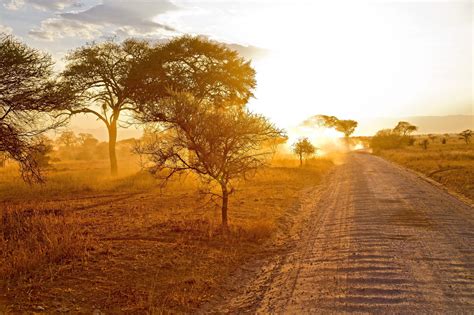 sunrise, Sunset, Roads, Trees, Nature Wallpapers HD / Desktop and ...