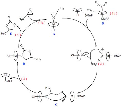 Scheme 2. Proposed mechanism for the cycloaddition of propylene oxide ...