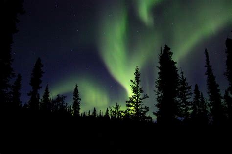 Northern Lights In The Wilderness Free Stock Photo - Public Domain Pictures