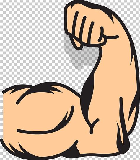 Muscle Arms Muscle Arms PNG, Clipart, Arm, Arm Architecture, Boy ...