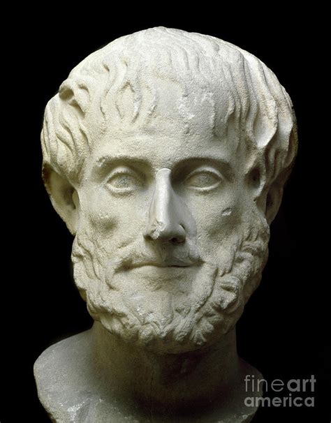 Portrait Of Aristotle, Marble Sculpture Photograph by Lysippos | Pixels