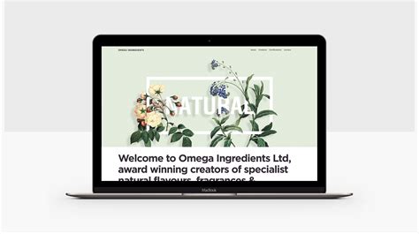 Omega Ingredients Website on Behance