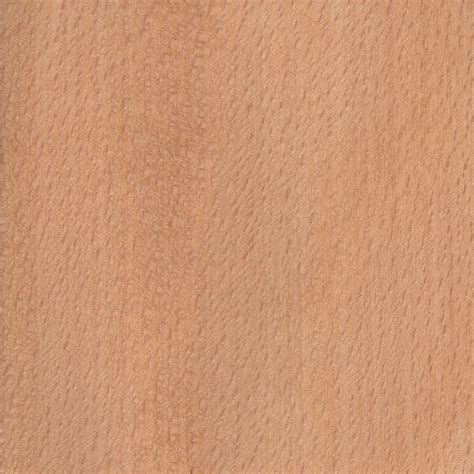 American Beech | The Wood Database (Hardwood)