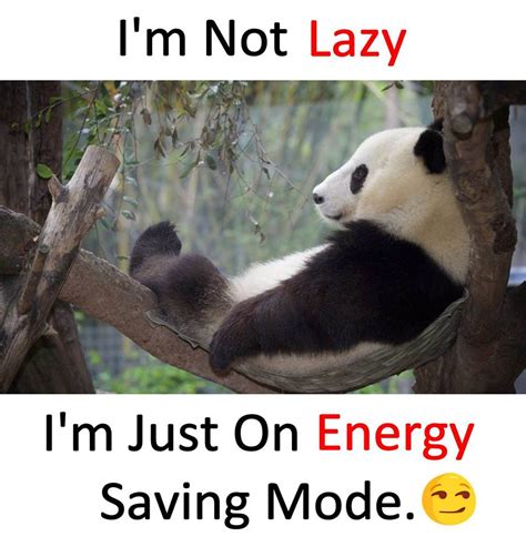 Excuses for lazy people be like... #Animals #Funny #Excuses | Very ...